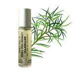 Amphora Aromatics Antiseptic Lemon Tea Tree & Tea Tree 10ml Roll-on